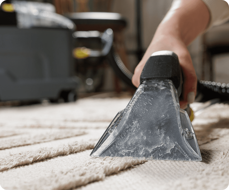Close-up of carpet being vacuumed