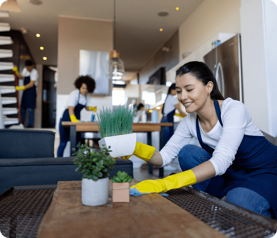 Team of cleaners in action